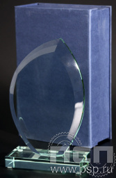 Награда стеклянная (сувенир) G010 210х130х18 в комплекте коробка