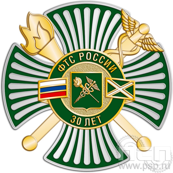 79.20 Нагрудный знак 3 уровня " 35 лет ФТС России"