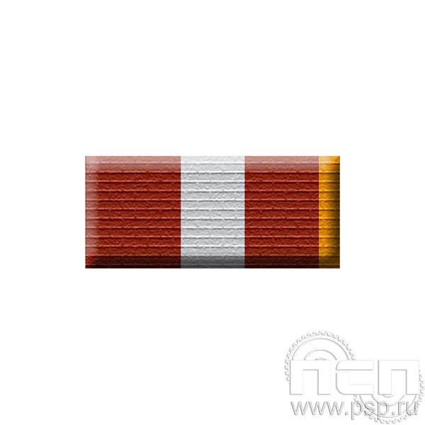 6.6.1. Планка орденская к медали "25 лет Отделы розыска ФСИН России"