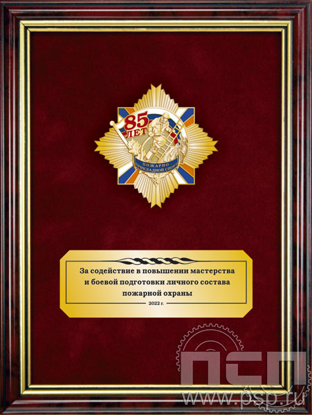5.7.22.53. Панно с нагрудным знаком "85 лет Пожарно-прикладной спорт" на бархате в рамке