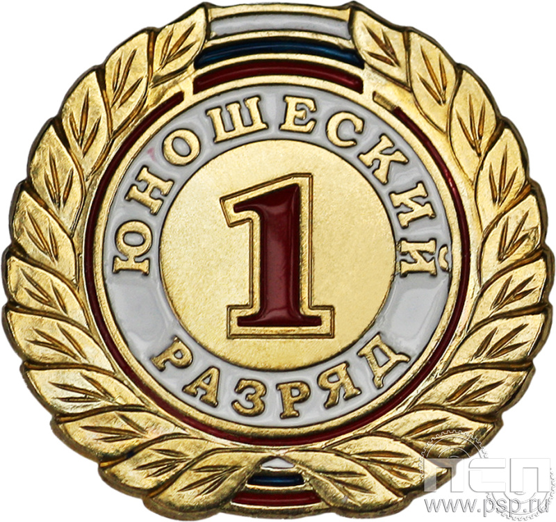 Значок 1 разряд юношеский СРиЗ7