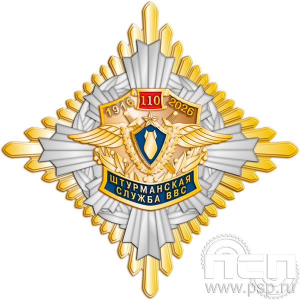 5.3(a). Нагрудный знак "110 лет Инженерно-авиационная и Штурманская службы ВВС"