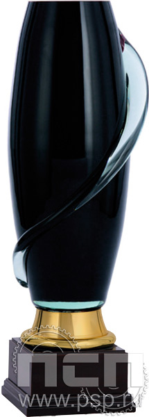 Кубок 1026A (48см)