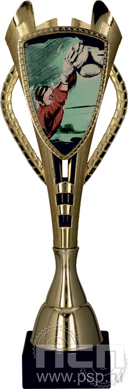Кубок 7243C (40см)