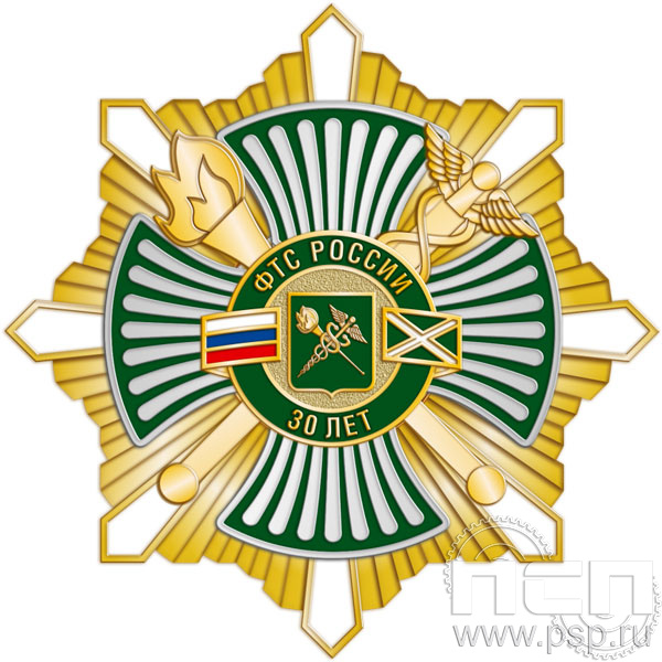 105.152. Нагрудный знак "30 лет ФТС России"