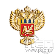 412.0 (a) Значок Росрезерв 95 лет