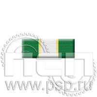 6.6.1. Планка орденская к медали "30 лет ФТС России"