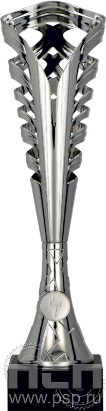 Кубок 8361/S (38см)