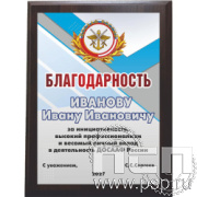 EX152 Плакетка деревянная "100 лет ДОСААФ России"