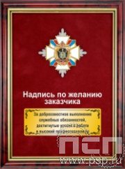5.7.01.74. Панно с нагрудным знаком "105 лет СЗГТ ВС РФ" на бархате в рамке