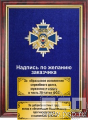 5.7.01.230. Панно с нагрудным знаком "25 лет ФСО" на бархате
