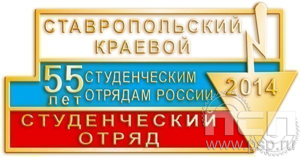 234.0. Значок 55 лет студенческим отрядам России