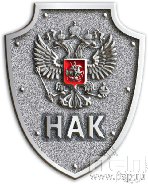 1696.0 Значок "НАК"
