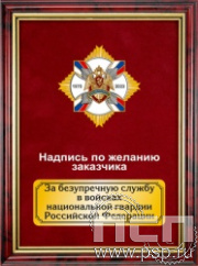 5.7.22.57. Панно с нагрудным знаком "45 лет Авиация Росгвардии" на бархате в рамке