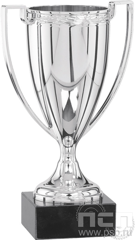 Кубок 9025/S (20см)