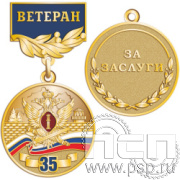245.0.56. Медаль " Ветеран. Служба безопасности ФСИН России 35 лет"