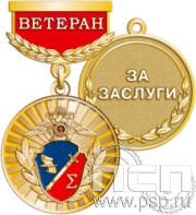 245.0.64. Медаль "105 лет Информационная служба МВД"