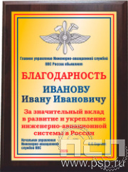 EX 152. Плакетка с нанесением "110 лет Инженерно-авиационная и Штурманская службы ВВС"