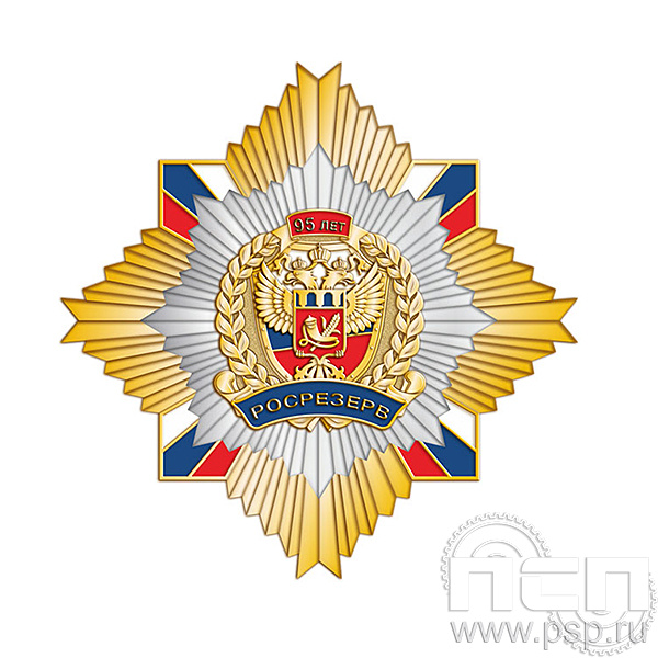 5.3(а) Нагрудный знак Росрезерв 95 лет
