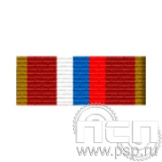 6.6.1. Планка орденская к медали "100 лет Патрульно-постовая служба МВД"