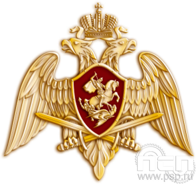 Значок "Орел Росгвардии" 1748.0к