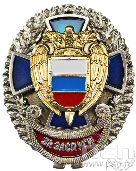 Нагрудный знак «За заслуги» ФСО8