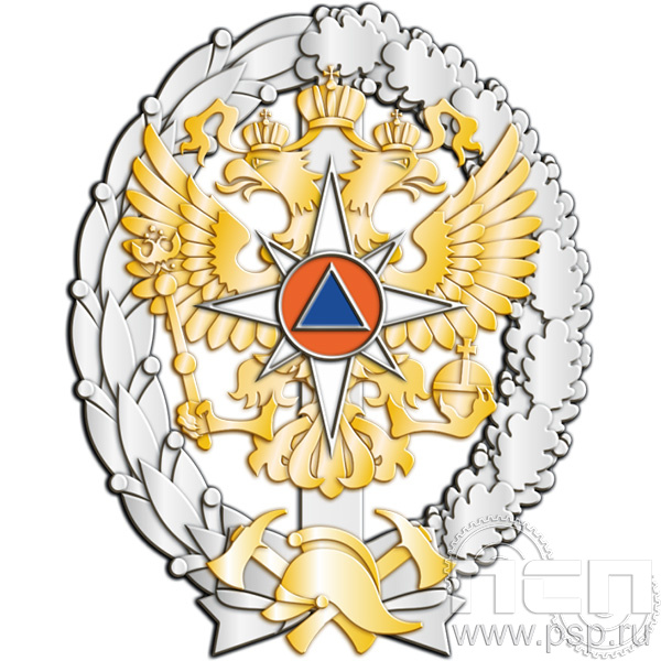 МЧС8 Нагрудный знак «Об окончании образовательного учреждения высшего профессионального образования»