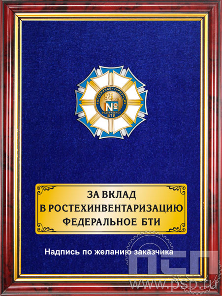 5.7.43.20. Панно с нагрудным знаком "95 лет Ростехинвентаризация Федеральное БТИ" на бархате
