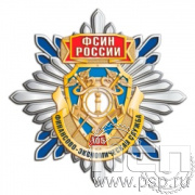 89.37. Нагрудный знак "105 лет Финансово-экономическая служба ФСИН"