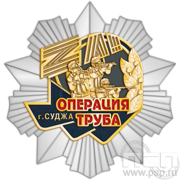 Картинка 5.2 (а) нагрудный знак "Специальная военная операция"