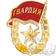 2039.0 (b) Нагрудный знак "Советская гвардия"