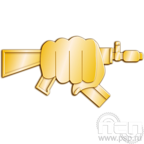Картинка 1234.0 Нагрудный знак "Специальная военная операция"