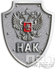 1696.0 Значок "НАК"