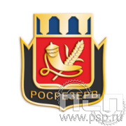 303.0. Значок Росрезерв 95 лет