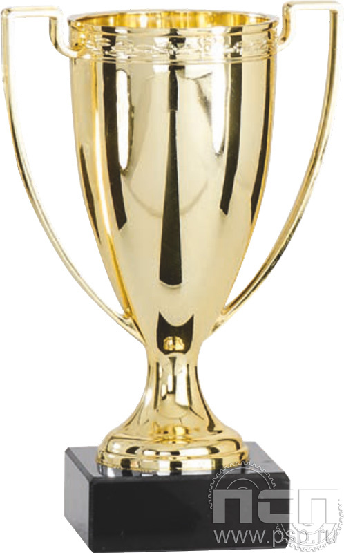 Кубок 9017A (21см)