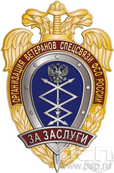 249.1. Нагрудный знак "За заслуги" Организация ветеранов Спецсвязи ФСО России"90 лет Правительственная связь РФ"