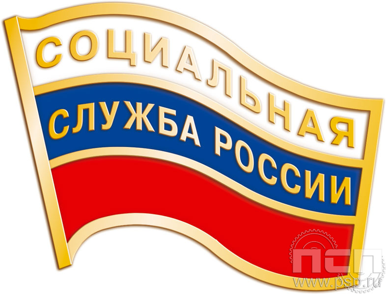 Значок "Социальная служба России" 049.0к