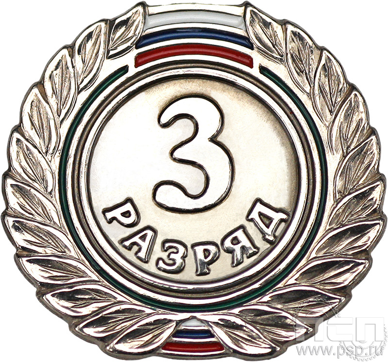 Значок 3 разряд взрослый СРиЗ6