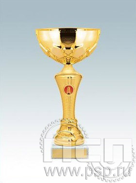 Кубок КМ1589H (18,5см) D-80