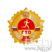 1347.0. Значок ГТО 1 степень