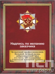 5.7.01.251. Панно с нагрудным знаком "105 лет Советской пожарной охране" на бархате в рамке