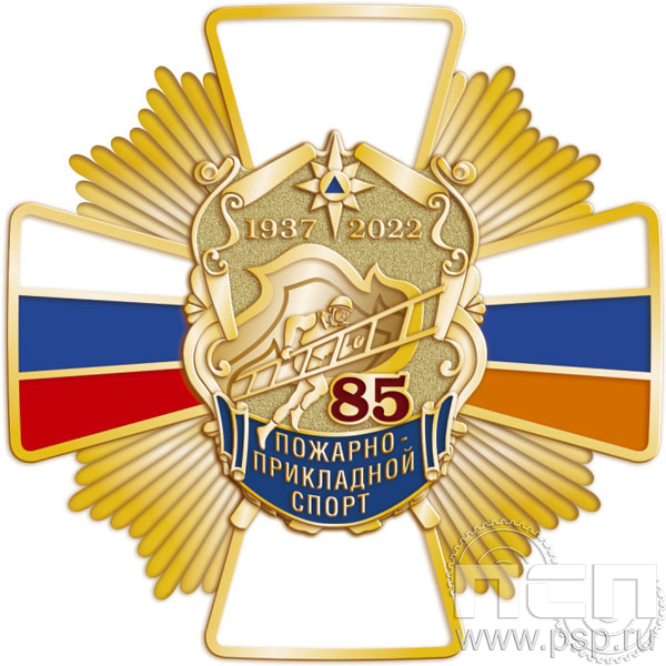 244.38. Нагрудный знак "85 лет Пожарно-прикладной спорт"