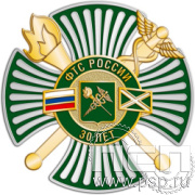 79.20 Нагрудный знак 3 уровня " 35 лет ФТС России"