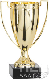 Кубок 9017B (17см)