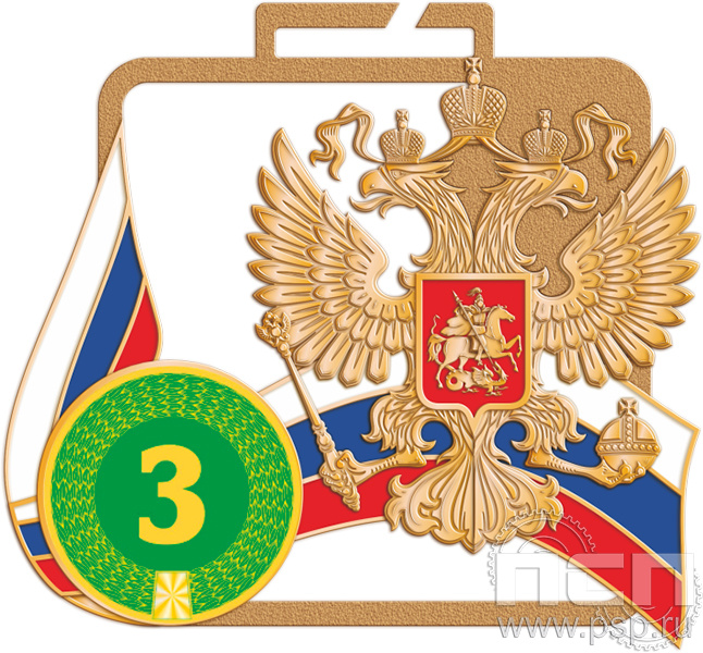 картинка МП-70х60-25-S Спортивная медаль "ВДВ 95 лет"