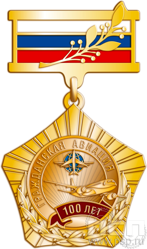 96.9.8. Нагрудный знак "100 лет Гражданская авиация"