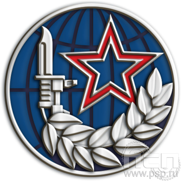 Картинка 001.0 нагрудный знак "Специальная военная операция"