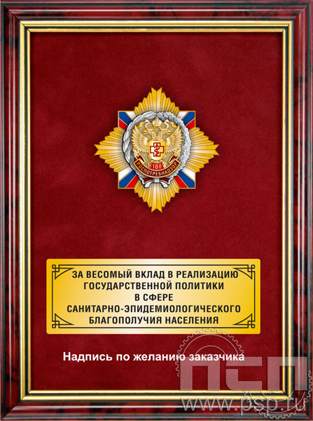 5.7.22.52. Панно с нагрудным знаком "100 лет Роспотребнадзор" на бархате в рамке