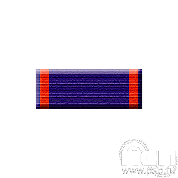 6.6.1. Планка орденская к медали "100 лет УУП МВД России"