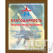 EX152 Плакетка деревянная "Специальная военная операция"